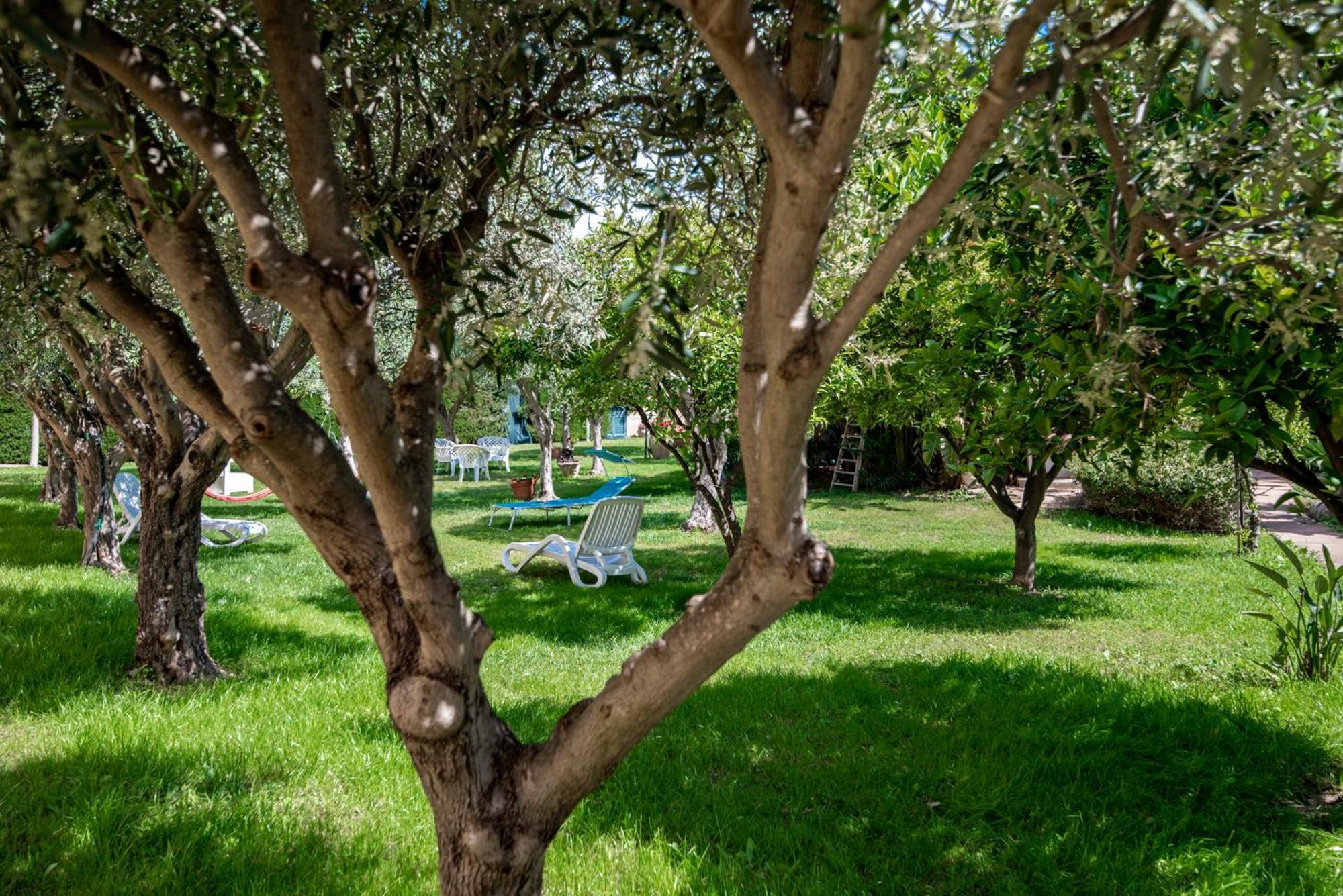 Villa Del Papiro Charme Apartments Avola Buitenkant foto